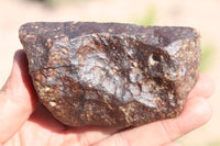NWA XXX Meteorite end cut 267.8 grams!